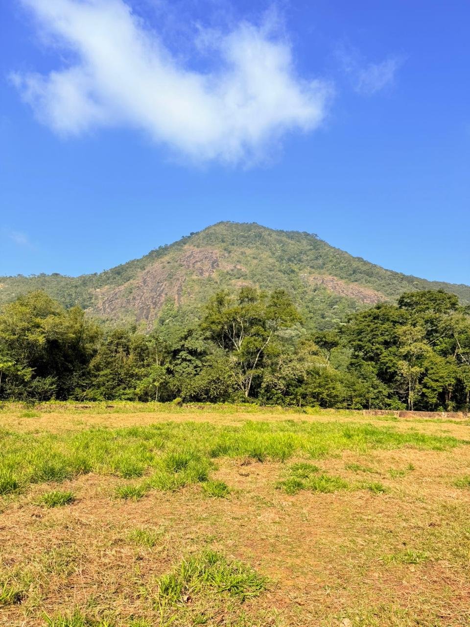 Terreno à venda, 500m² - Foto 5