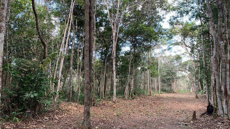 Terreno no Trac Trac Trac Trac Porto Seguro - 