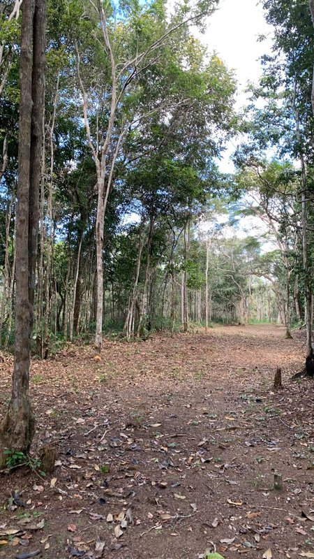 Terreno no Trac Trac Trac Trac Porto Seguro - 