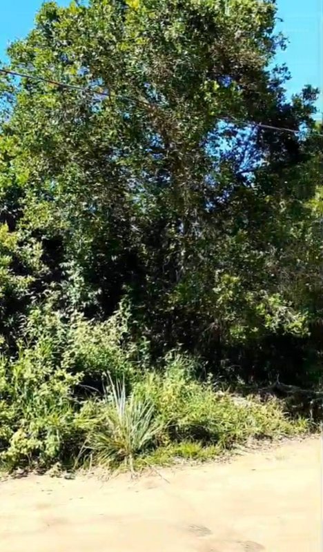 Terreno no Bairro Vilas 2 Vilas 2 Porto Seguro - 