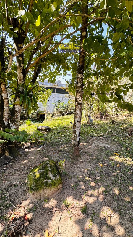 Casa em meio a natureza em Boiçucanga litoral norte Estrada Beira Rio São Sebastião - 
