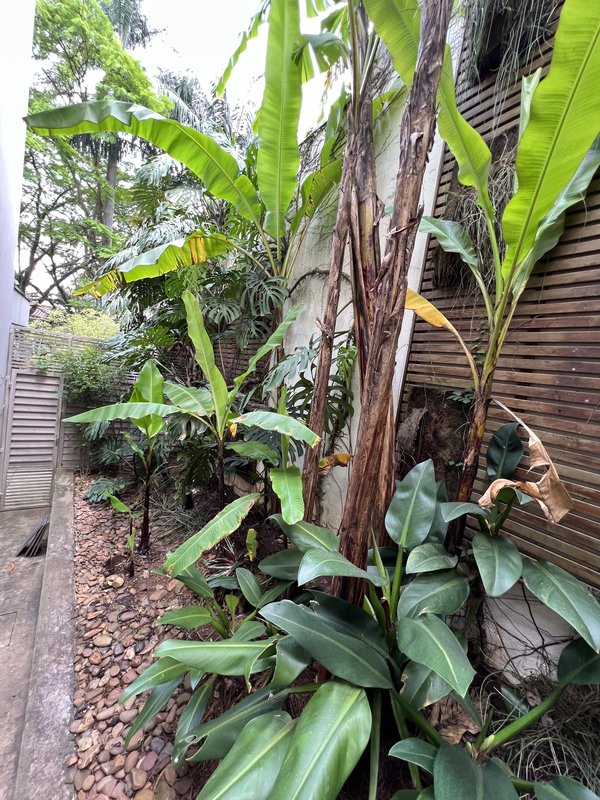 CASA A VENDA – LINDA – 402m2 – SOLAR - LUXO COM CUSTO-BENEFÍCIO Rua Aziz Nader São Paulo - 