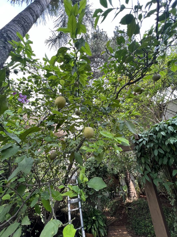 CASA A VENDA – LINDA – 402m2 – SOLAR - LUXO COM CUSTO-BENEFÍCIO Rua Aziz Nader São Paulo - 