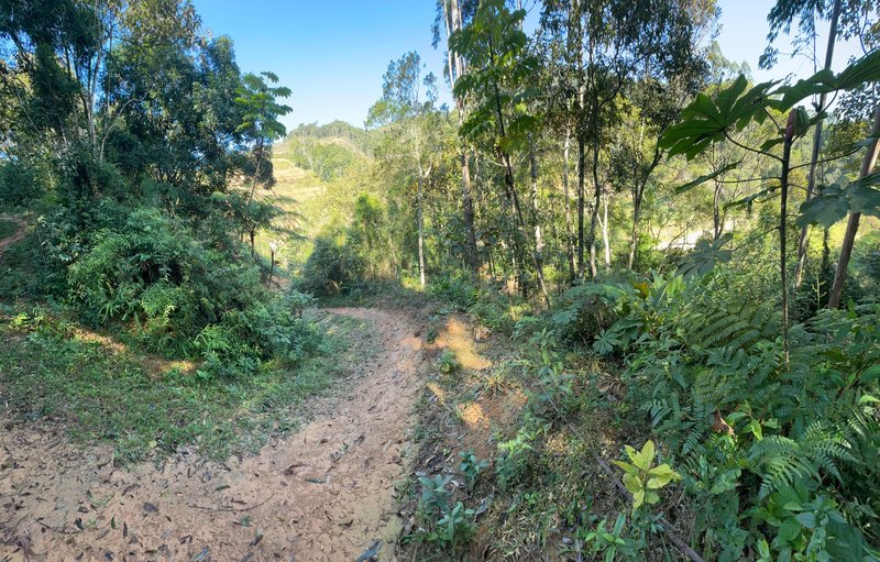 SÍTIO COM CACHOEIRA NO CEDRO ALTO  Brusque - 