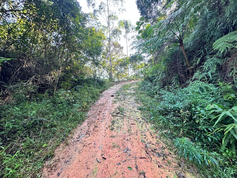 SÍTIO COM CACHOEIRA NO CEDRO ALTO  Brusque - 