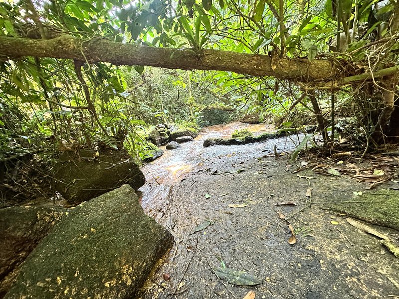 SÍTIO COM CACHOEIRA NO CEDRO ALTO  Brusque - 