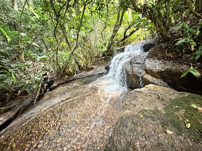 SÍTIO COM CACHOEIRA NO CEDRO ALTO  Brusque - 