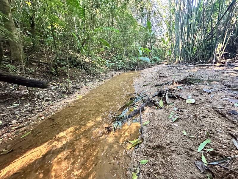 SÍTIO COM CACHOEIRA NO CEDRO ALTO  Brusque - 