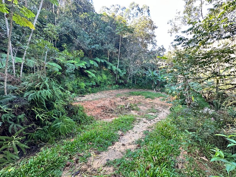 SÍTIO COM CACHOEIRA NO CEDRO ALTO  Brusque - 
