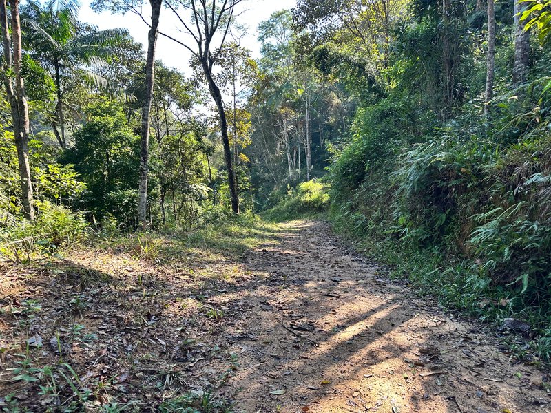 SÍTIO COM CACHOEIRA NO CEDRO ALTO  Brusque - 