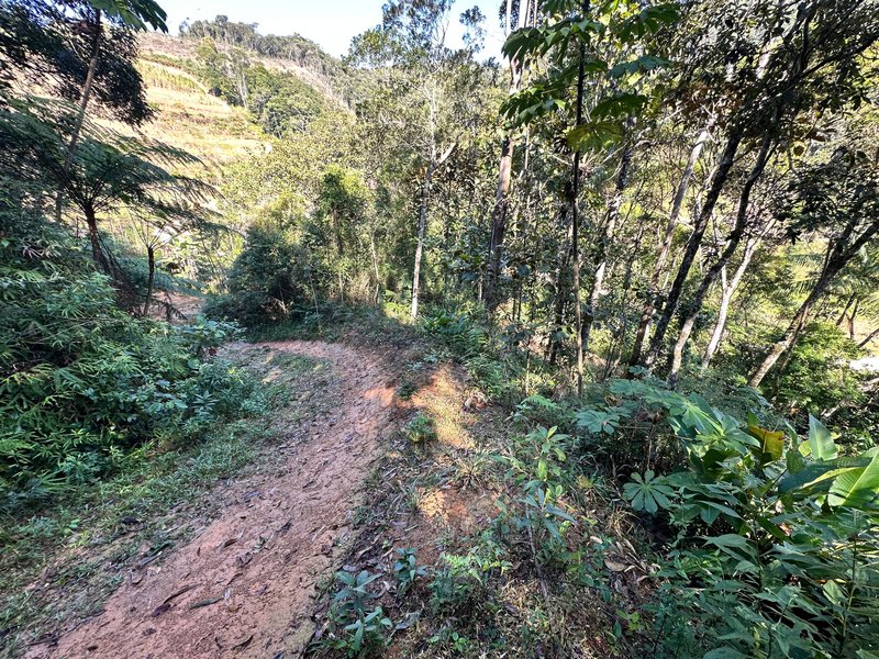SÍTIO COM CACHOEIRA NO CEDRO ALTO  Brusque - 