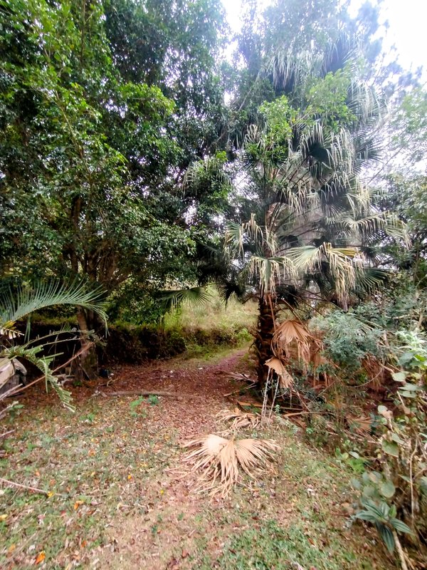 Sítio à venda na zona rural de Santa Isabel/Igaratá  Santa Isabel - 