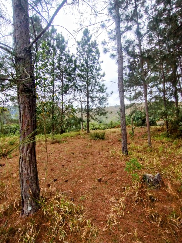 Sítio à venda na zona rural de Santa Isabel/Igaratá  Santa Isabel - 