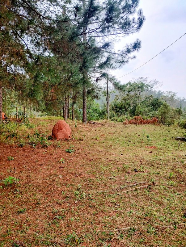 Sítio à venda na zona rural de Santa Isabel/Igaratá  Santa Isabel - 