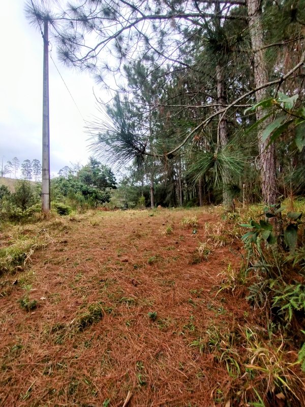 Sítio à venda na zona rural de Santa Isabel/Igaratá  Santa Isabel - 