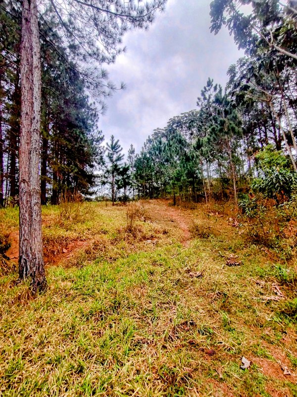 Sítio à venda na zona rural de Santa Isabel/Igaratá  Santa Isabel - 