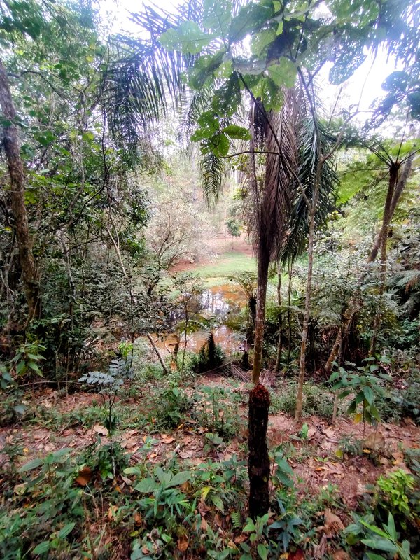 Sítio à venda na zona rural de Santa Isabel/Igaratá  Santa Isabel - 