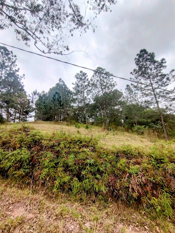 Sítio à venda na zona rural de Santa Isabel/Igaratá  Santa Isabel - 