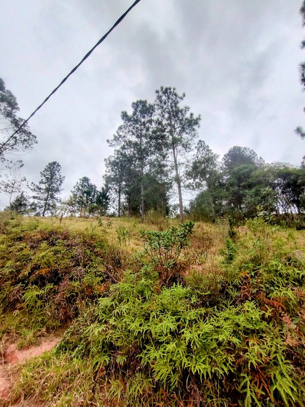 Sítio à venda na zona rural de Santa Isabel/Igaratá  Santa Isabel - 