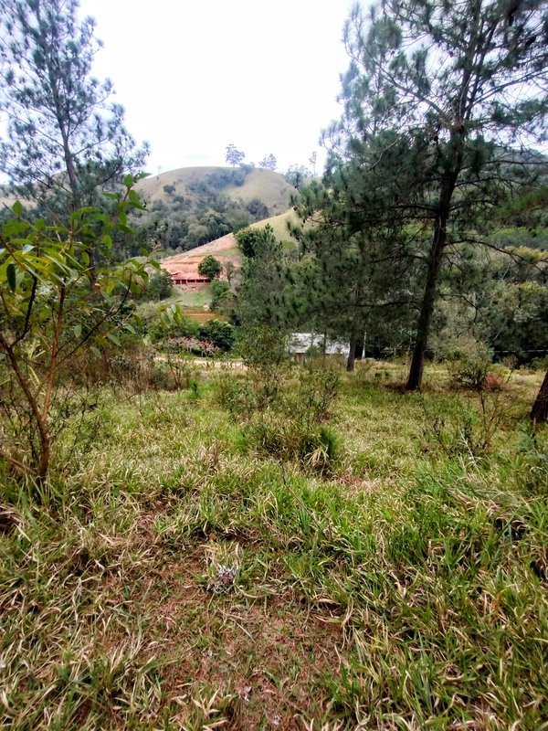Sítio à venda na zona rural de Santa Isabel/Igaratá  Santa Isabel - 