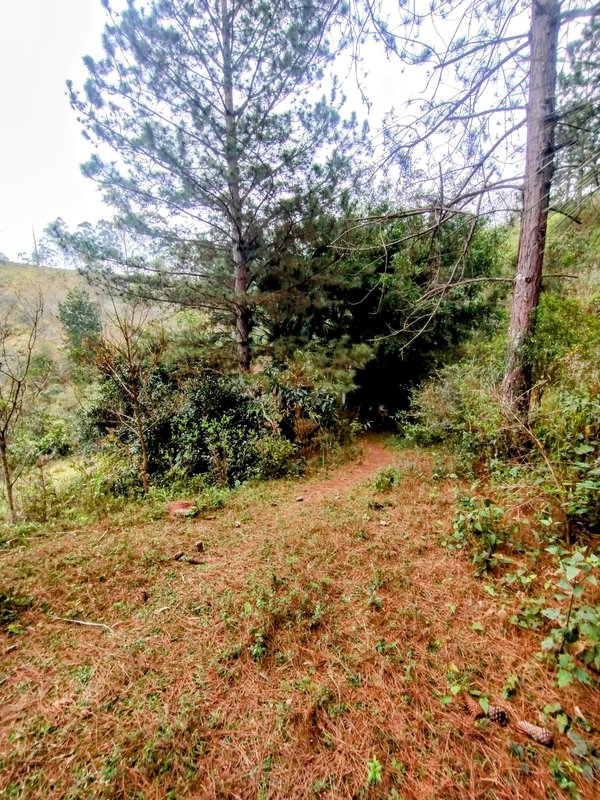 Sítio à venda na zona rural de Santa Isabel/Igaratá  Santa Isabel - 