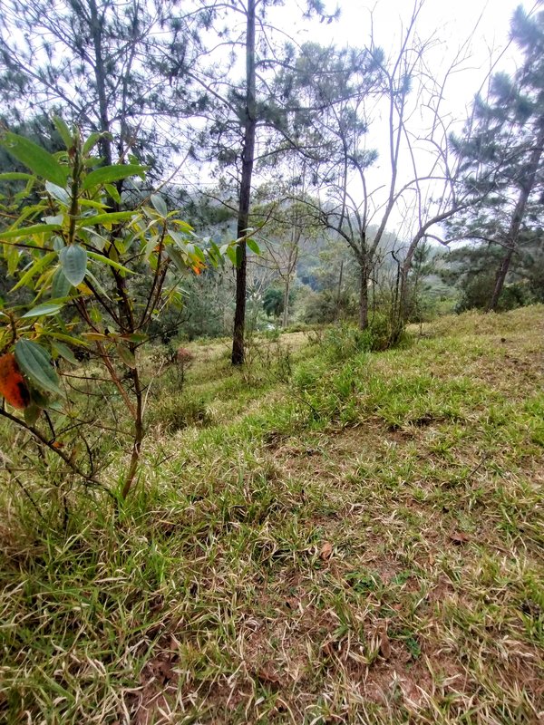 Sítio à venda na zona rural de Santa Isabel/Igaratá  Santa Isabel - 