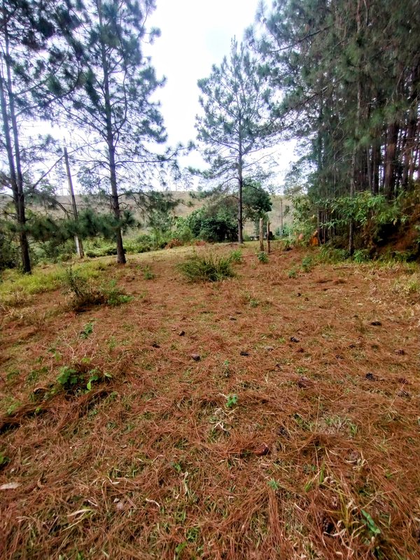Sítio à venda na zona rural de Santa Isabel/Igaratá  Santa Isabel - 