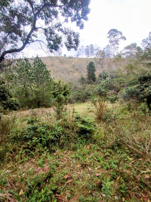 Sítio à venda na zona rural de Santa Isabel/Igaratá  Santa Isabel - 