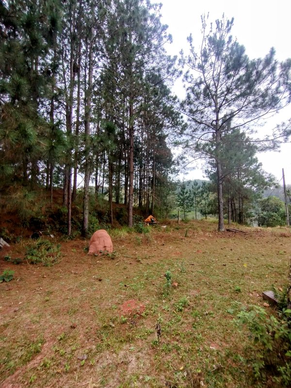 Sítio à venda na zona rural de Santa Isabel/Igaratá  Santa Isabel - 