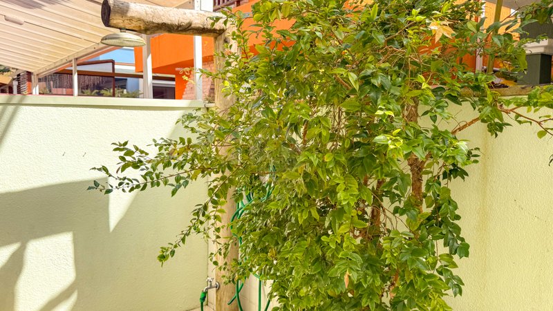 Casa em condomínio na Praia de Juquehy - LOCAÇÃO ANUAL OU DIÁRIA  São Sebastião - 