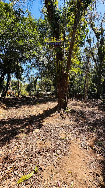 Terreno na Estrada da beira rio com 790m² Estrada Beira Rio São Sebastião - 
