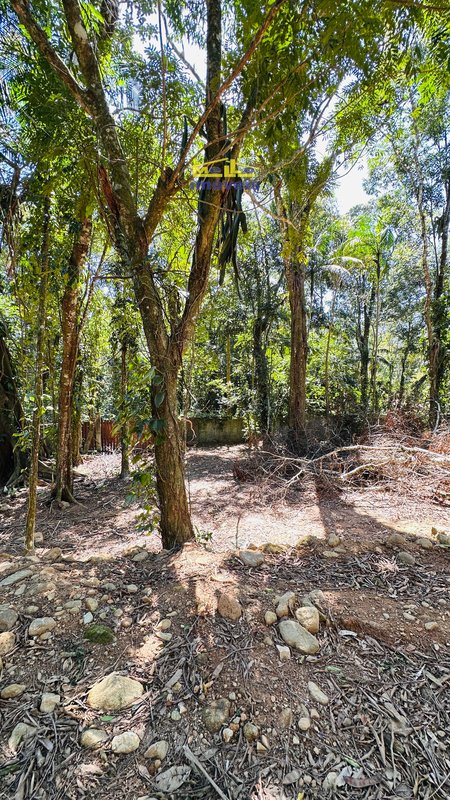 Terreno na Estrada da beira rio com 790m² Estrada Beira Rio São Sebastião - 