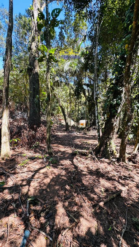 Terreno na Estrada da beira rio com 790m² Estrada Beira Rio São Sebastião - 
