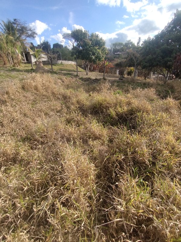 Terreno com boa topografia à venda no Parque Alpina  Igaratá - 