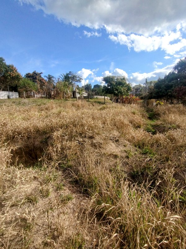 Terreno com boa topografia à venda no Parque Alpina  Igaratá - 
