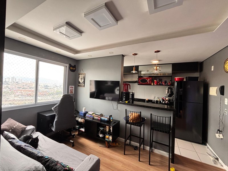 APARTAMENTO PARA ALUGAR PRÁTICO E ACONCHEGANTE - 30M², 1 SUÍTE Rua Torres da Barra São Paulo - 
