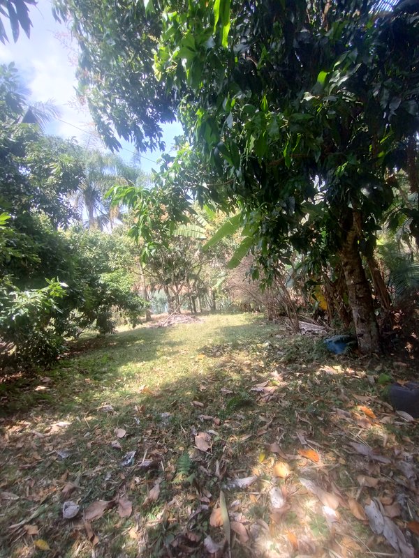 Chácara pé na água à venda no Parque Alpina  Igaratá - 