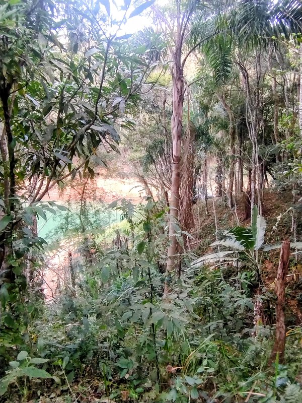 Chácara pé na água à venda no Parque Alpina  Igaratá - 