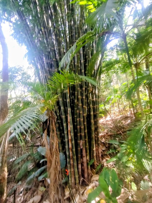 Chácara pé na água à venda no Parque Alpina  Igaratá - 
