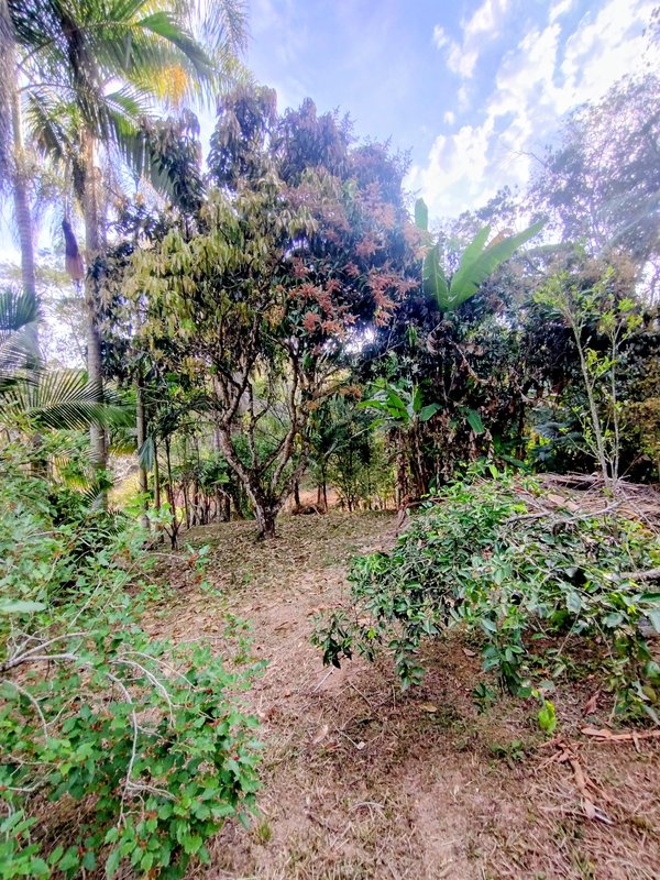 Chácara pé na água à venda no Parque Alpina  Igaratá - 