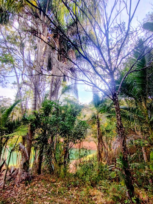 Chácara pé na água à venda no Parque Alpina  Igaratá - 