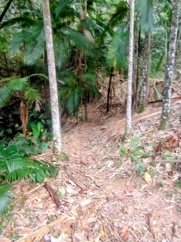 Chácara pé na água à venda no Parque Alpina  Igaratá - 
