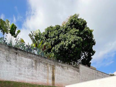 🏡 Casa de Alto Padrão no Residencial 12 – Alphaville Alameda Toledo Santana de Parnaíba - 