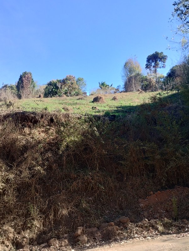 Terreno na beira da estrada do rio do Peixe com boa topografia à venda no Parque Alpina  Igaratá - 