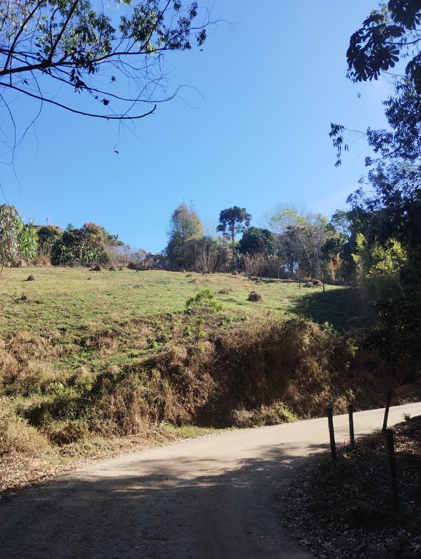 Terreno na beira da estrada do rio do Peixe com boa topografia à venda no Parque Alpina  Igaratá - 