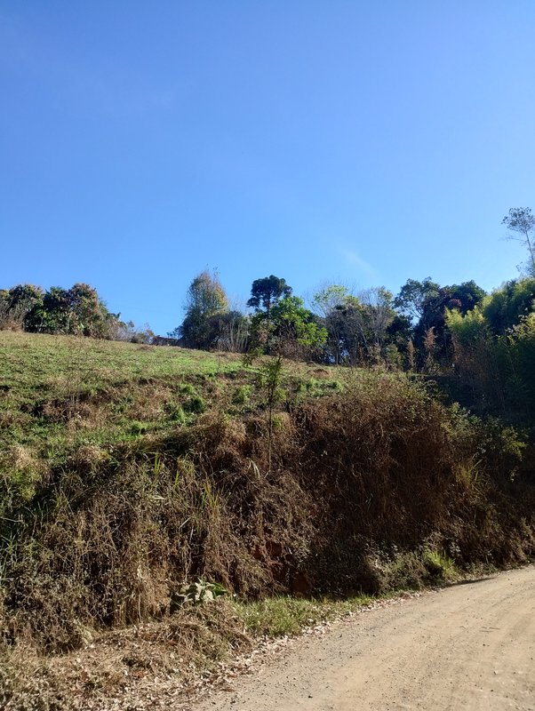 Terreno na beira da estrada do rio do Peixe com boa topografia à venda no Parque Alpina  Igaratá - 