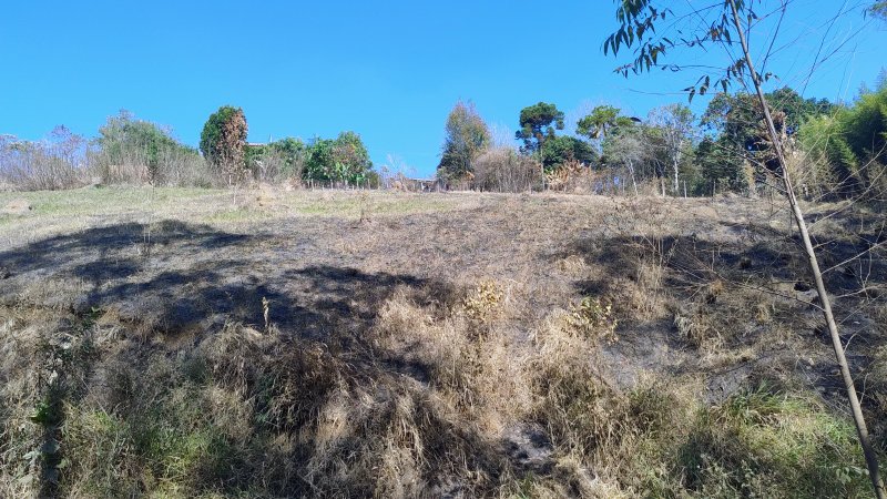 Terreno na beira da estrada do rio do Peixe com boa topografia à venda no Parque Alpina  Igaratá - 