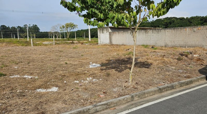 Terreno no bairro Bosque da Mata Tijucas SC rua Figo Tijucas - 
