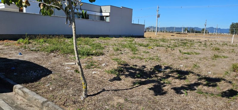 Terreno no bairro Bosque da Mata Tijucas SC rua Figo Tijucas - 