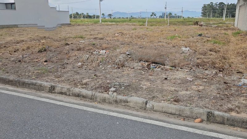 Terreno no bairro Bosque da Mata Tijucas SC rua Figo Tijucas - 